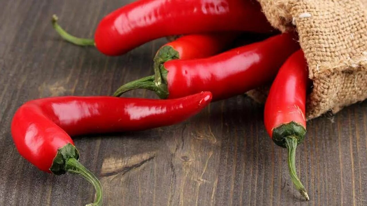 Красный стручковой перец польза и вред. Перчик красный со стручком. Перец стручковый. Перец острый. Цвет красный чили.