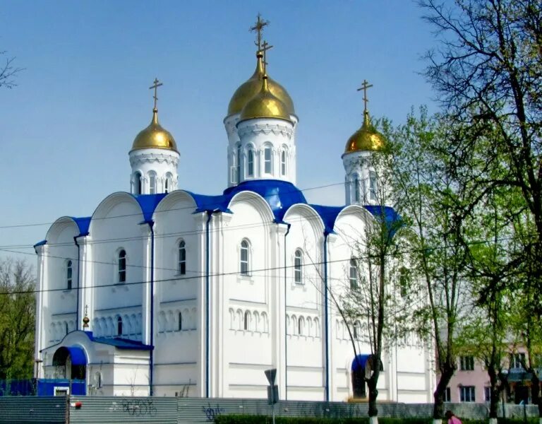 Построим храм вместе картинка. Этапы строительства храма. Казань мечети и храмы и церкви. Храм пресвятой богородицы добрянка. Храм нввку димитрия донского.