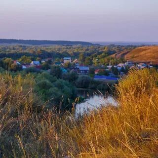 Средняя терешка ульяновская