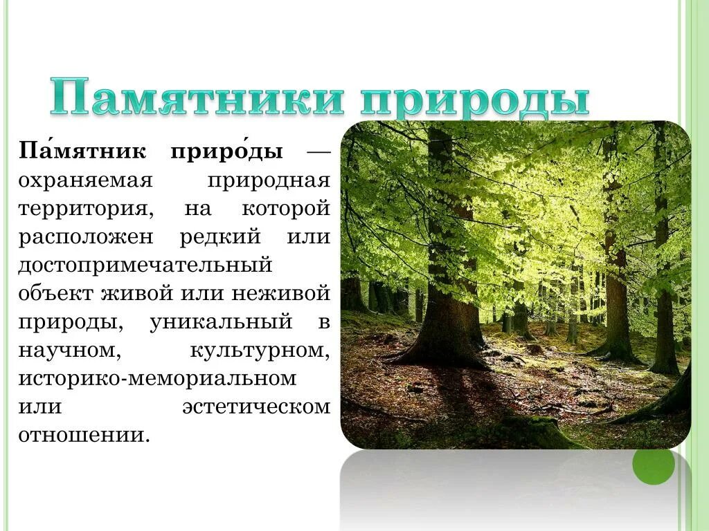 Характеристика памятников природы. Географические памятники природы. Памятник природы рассказ. Что охраняется памятниками природы. Памятники природы доклад.