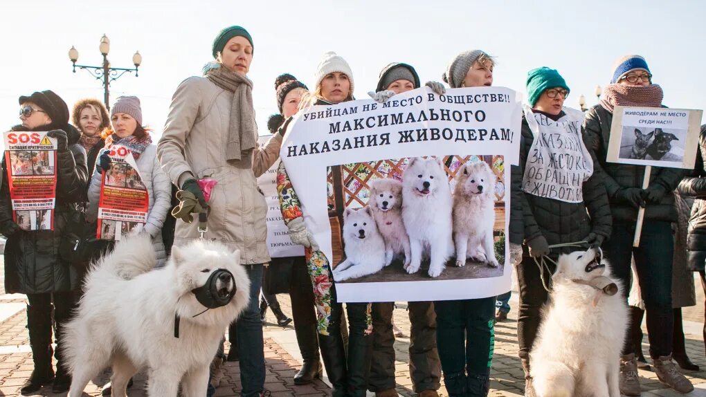Дети живодеры. Дети живодеры. Волонтеры пенза по животным. Внимание живодёры надпись. Против живодеров.