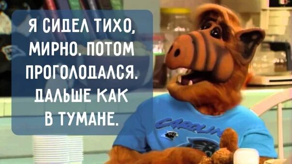 Жил тихо мирно. Жил тихо мирно. Нравится не нравится терпи моя красавица. Тихо мирно и любя выношу мозги всем я гороскоп. Выношу мозг.