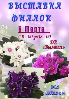 Выставки фиалок в москве в 2024 году