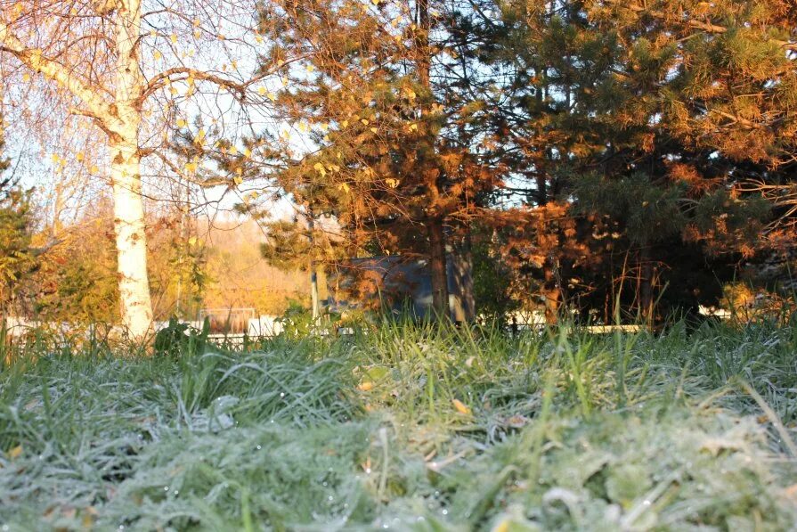 По ночам подмораживало и звёзды усеивали небо знаки препинания. Стихи про позднюю осень красивые. Ранняя зима. Зима солнце. Какая у вас погода.