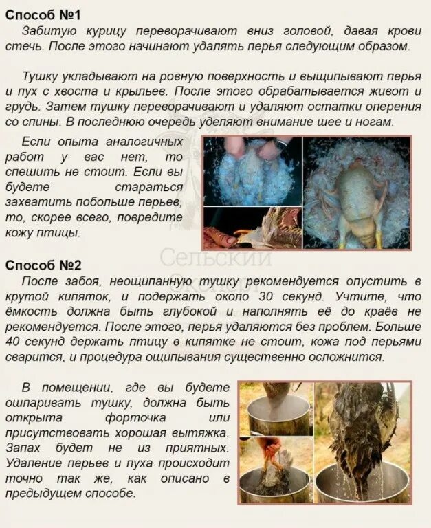 Куриные как вытащить