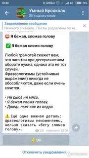 Imore телеграм отзывы