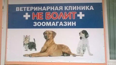 Ветклиника старая русса