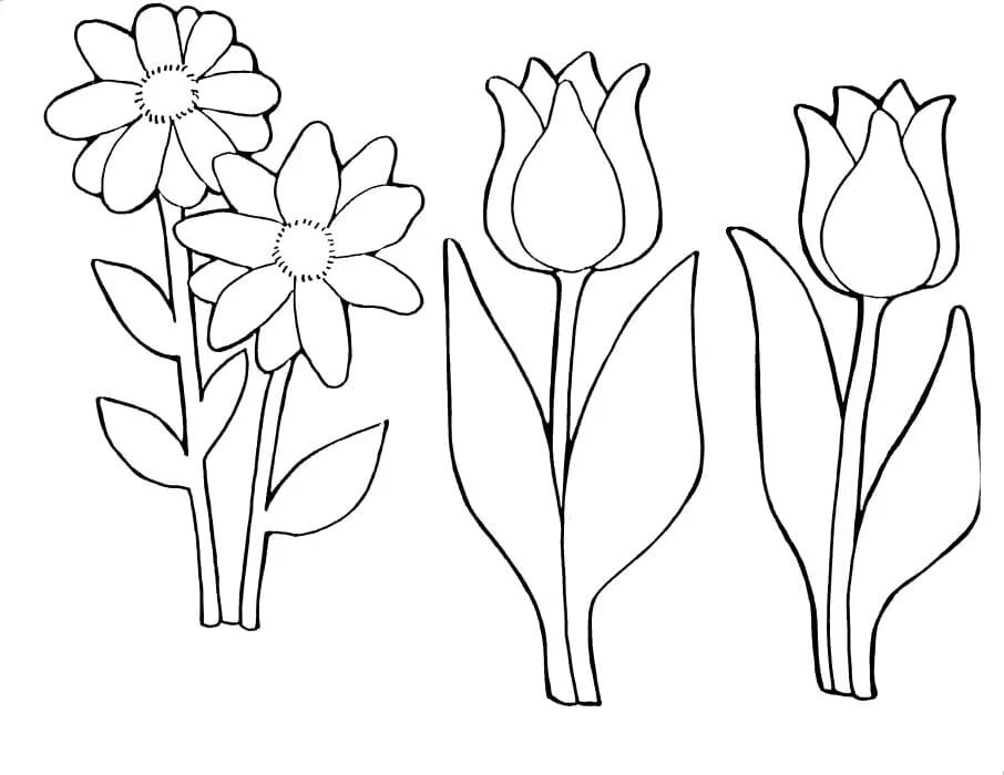 Тюльпаны картинки для вырезания. Цветы. Раскраска. Цветы шаблон для аппликации. Цветы картинки раскраски. Цветок картинка для детей раскраска.