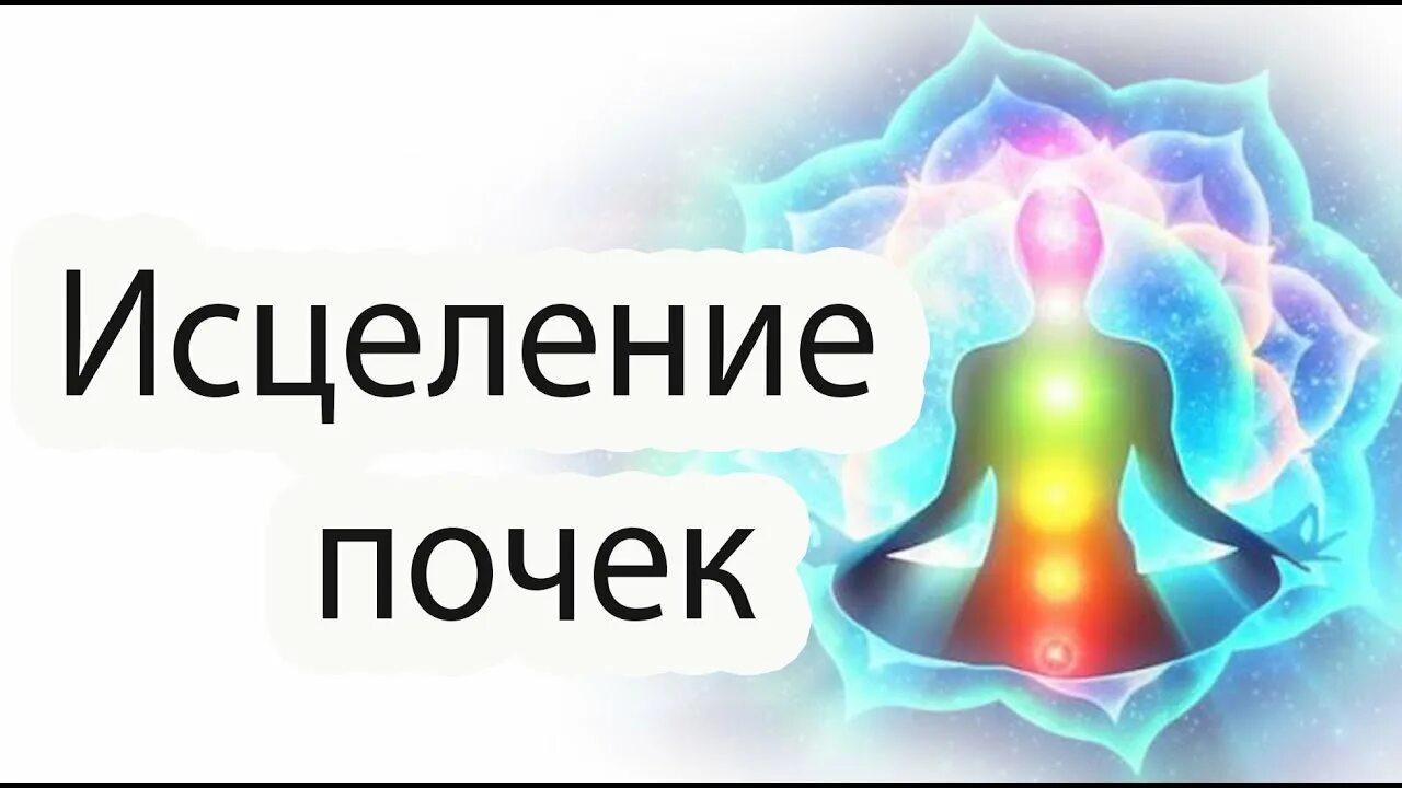 Медитация исцеление почек. Настрой Сытина на оздоровление почек для женщин. Сытин настрой на оздоровление почек. Настрой на оздоровления организма.