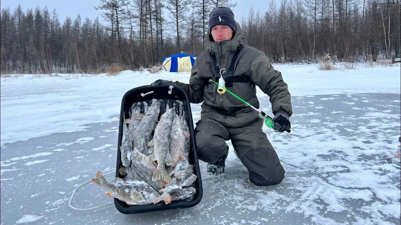 Рыбалка декабрь 2023. Зимняя рыбалка. Рыбалка на льду. Рыбаки на льду. Зимний Рыбак.