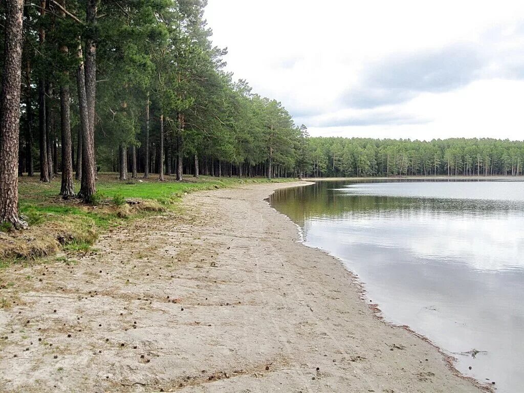 Озеро большие чертаны томская область. Озеро родниковое шегарский район. Васюганские болота томская область. Васюганские болота томская область. Шегарский район томской области.