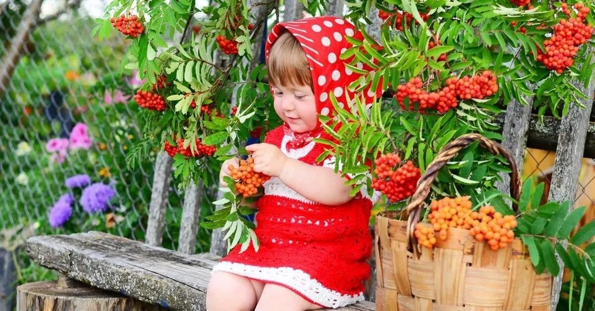 Ягодки рябинки красные косынки текст. Песня ягодки рябинки красные косынки. Песня ягодки рябинки красные косынки. Песенка осень осень к нам пришла. Песня ягодки рябинки красные косынки.