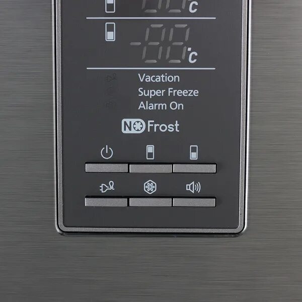 Дисплей холодильника Samsung RL 34. Холодильник самсунг rl36. Samsung RL-36 EBIH. Панель управления холодильника самсунг rl34eg.