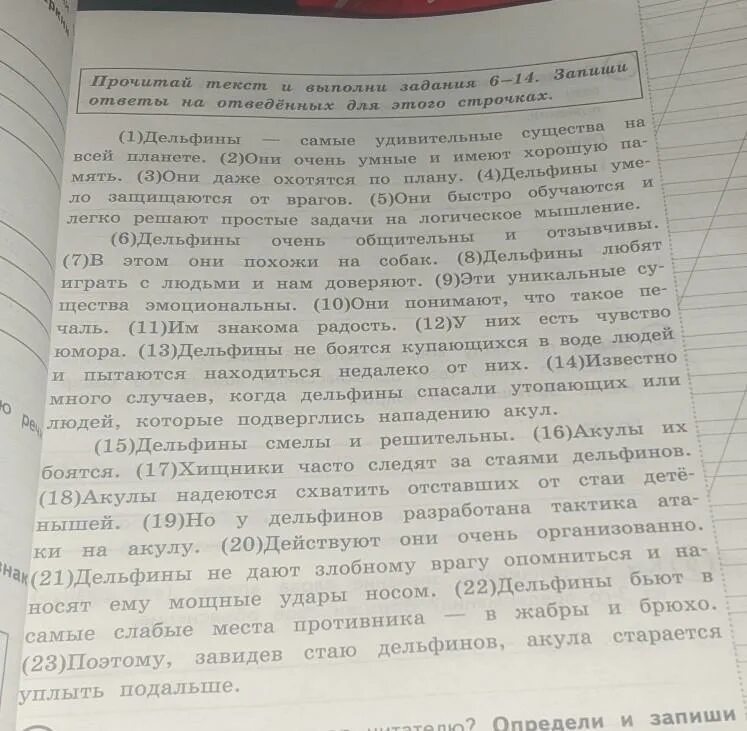 Основная мысль текста есть такое выражение ледяное. Составь и запиши план текста. План текста из 3 пунктов. План из трех пунктов. Запиши план текста из 3 пунктов.