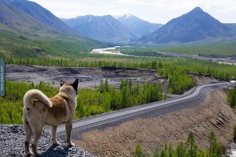 Погода солнечный саха