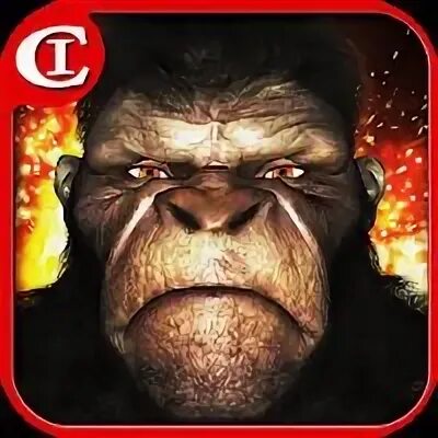 Apes open