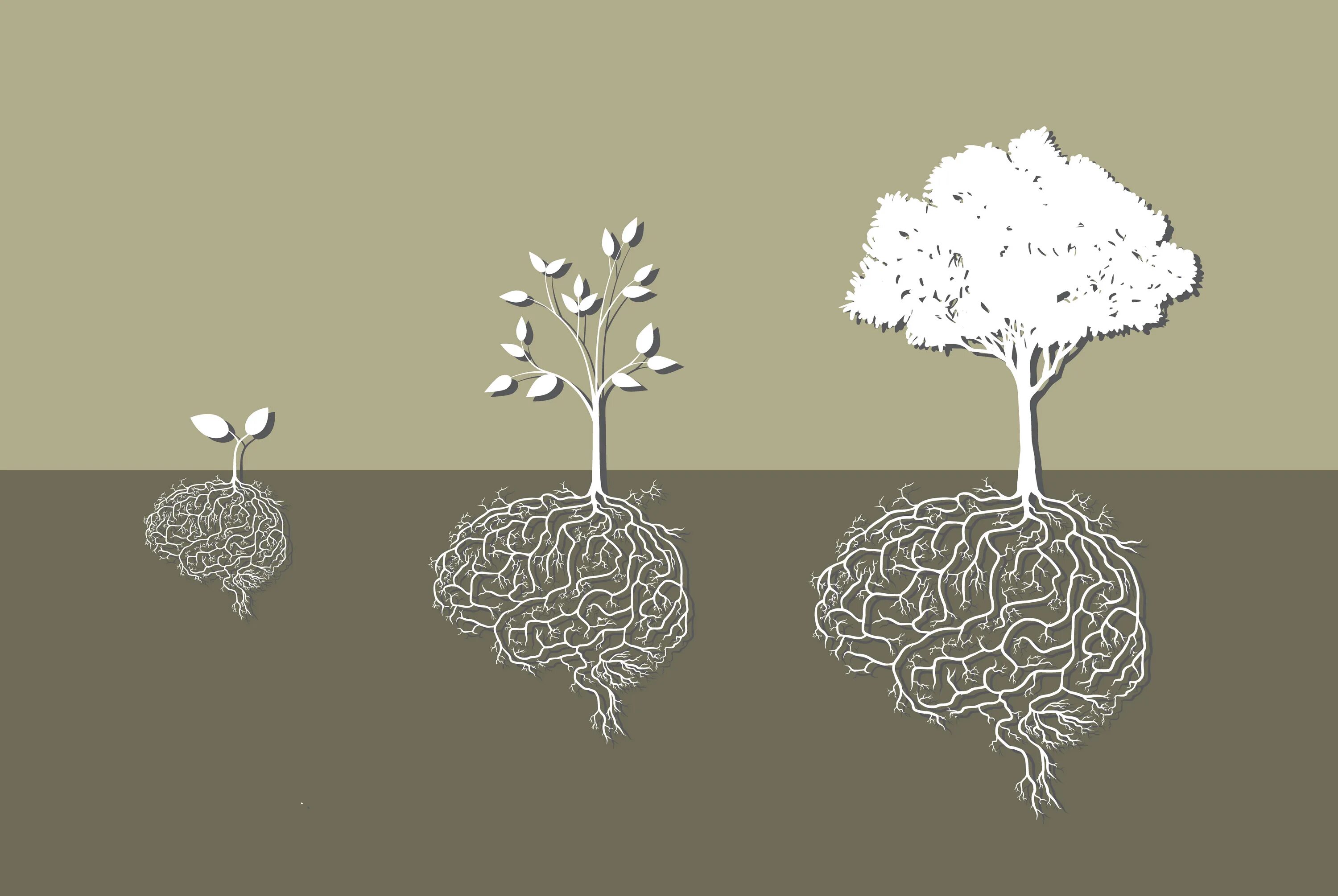 Слова с корнем мозг. Мозг в корнях дерева. Дерево мозг. Корень мозга. Корневое дерево мозга.