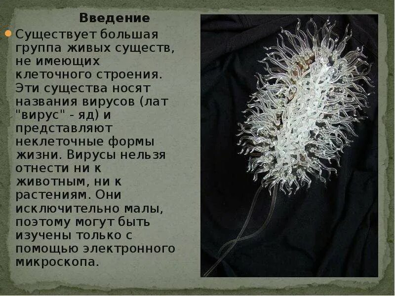 Вирус как он называется. Крупные вирусы названия. все вирусы и их названия. каких существ называли вирусами. почему вирусы нельзя в полной мере отнести к живым существам?.