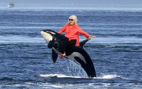 Dina rider
