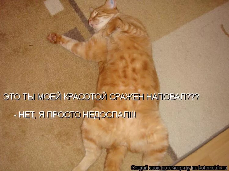 среди друзей прокручивая список. наши глаза песня текст. влюбляются не в лица не в фигуры. остроумные одностишия натальи резник. красный наряд цепочки звенят сражает наповал текст.