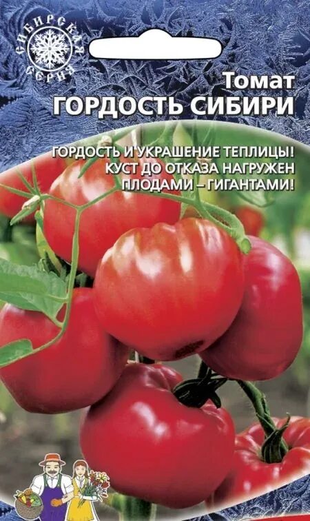 Описание томата гордость застолья. Томат гордость сибири уральский дачник. томат гордость сибири сибирский сад. томат тяжеловес сибири 20шт. томат гордость сибири 20шт.
