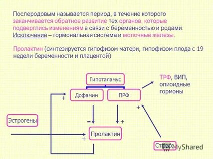 Течение послеродового периода