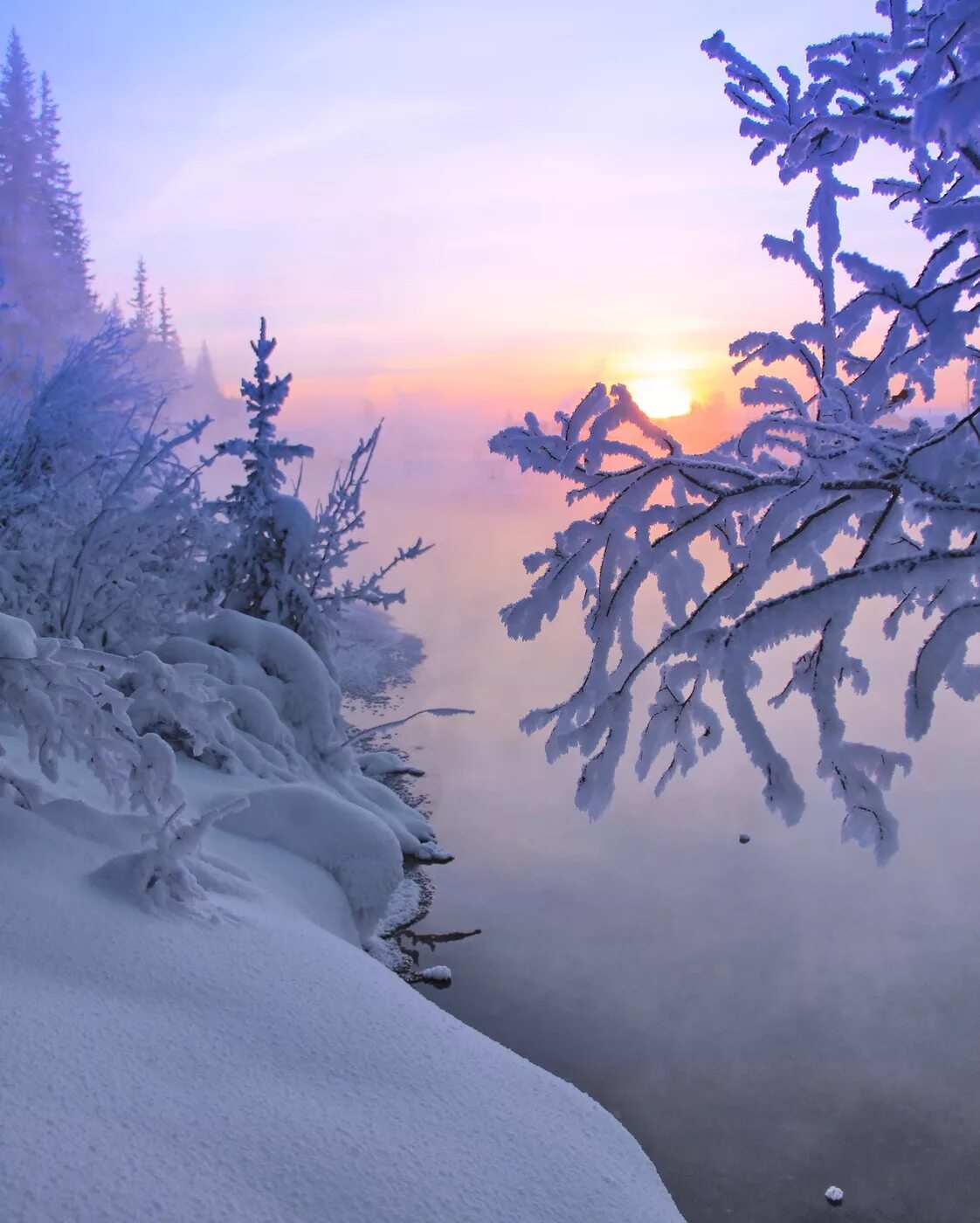 Зимняя природа. Красота зимы. Зима пейзаж. Зимний лес.