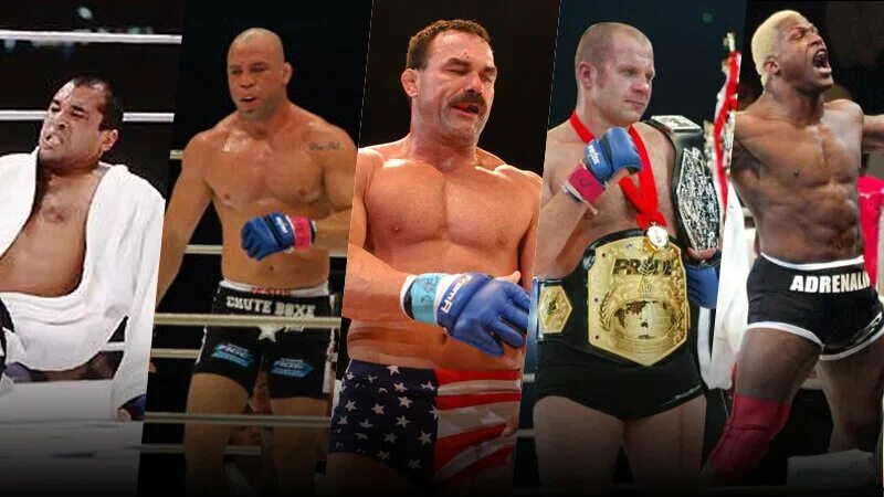 Бойцы прайд. Алаш прайд. Антонио родриго ногейра боец. Бойцы прайд. Fc undisputed 3.