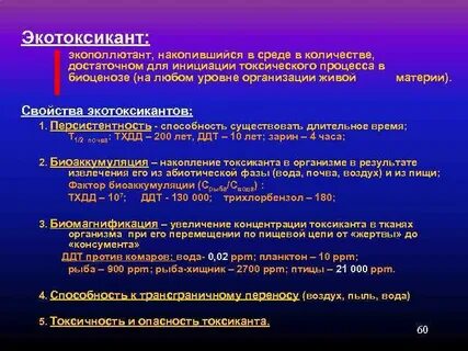 Среда число