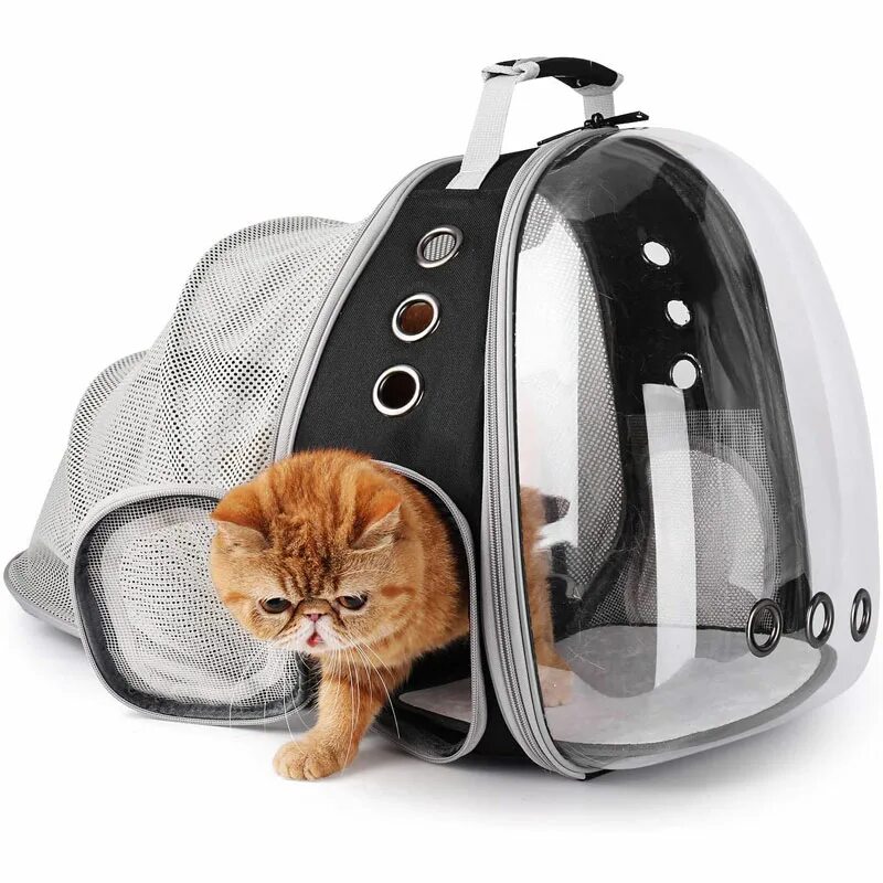 Купить рюкзак переноску для кошек. Рюкзак Pet Carrier. Переноска Cat Carrier. Cat Carrier переноска для кота. Портфель переноска для кошек с окошком.