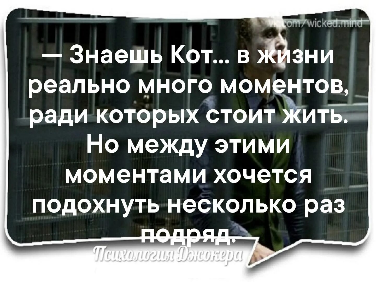 Знаешь кот. В жизни реально много моментов ради которых стоит жить. Ты знаешь кот в жизни реально. Знаешь кот в жизни реально много моментов. В жизни реально много моментов ради которых стоит жить но между этими.