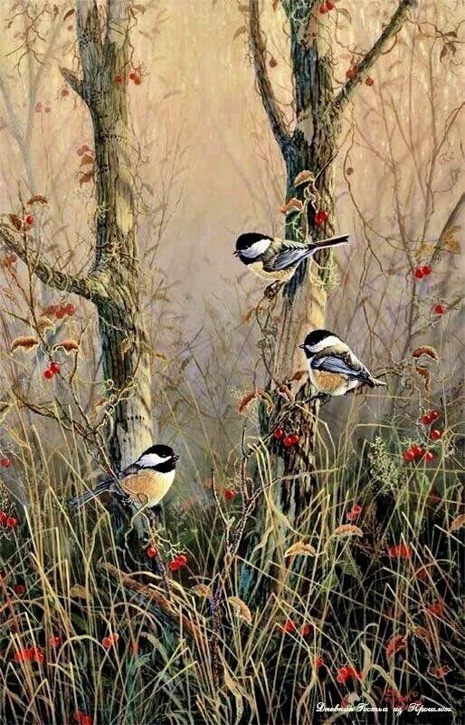 Пернатый мир. Охотничьи картины глухариный ток. Птицы в лесу картина. Живопись маслом глухарь с глухаркой. Голландская художница марджолен бастин.