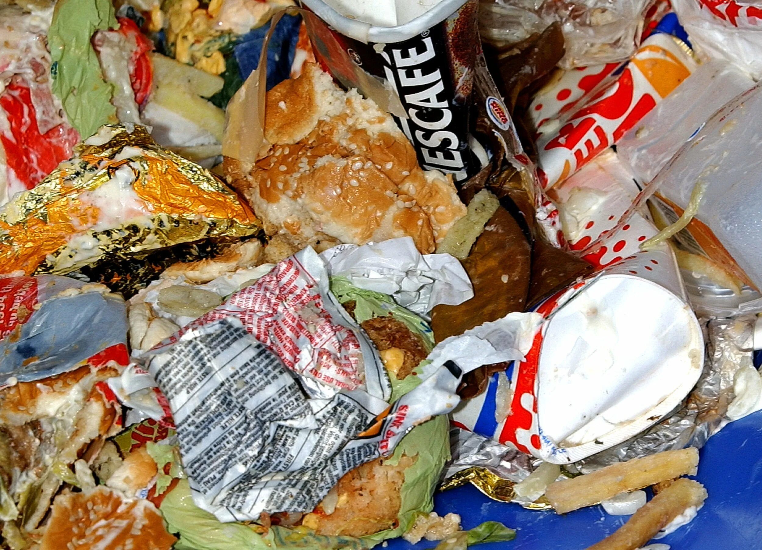 Пищевые отходы кухонь. Пищевые отходы. Пищевой мусор. Еда из мусора. Еда в мусорке.