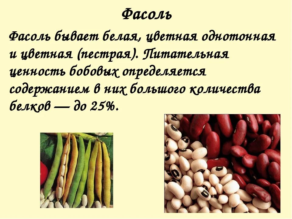 Лимская фасоль сорта. Пищевая ценность фасоль фасоль. Сорта фасоли для бобов. Фасоль питательная ценность.