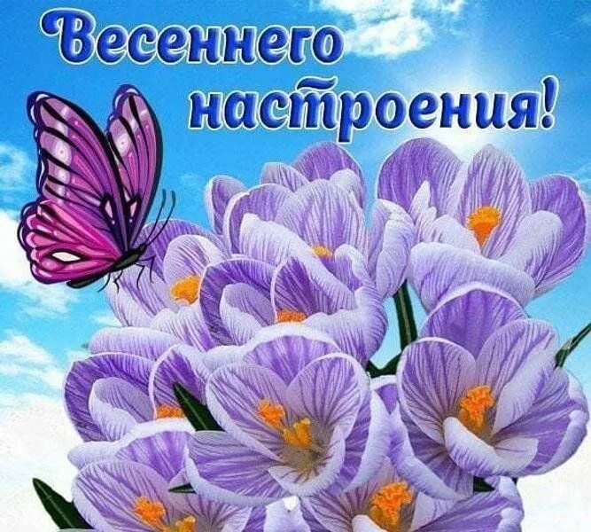 Хочется весеннего настроения