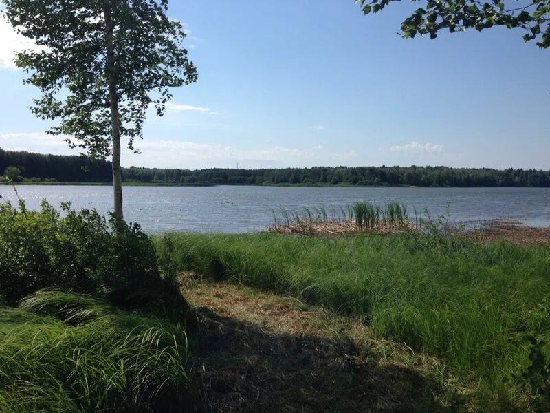 Участки на берегу водохранилища. Участки на берегу водохранилища. Михалевский сад коттеджный поселок. Лопотово, деревня лопотово. Озеро на участке.