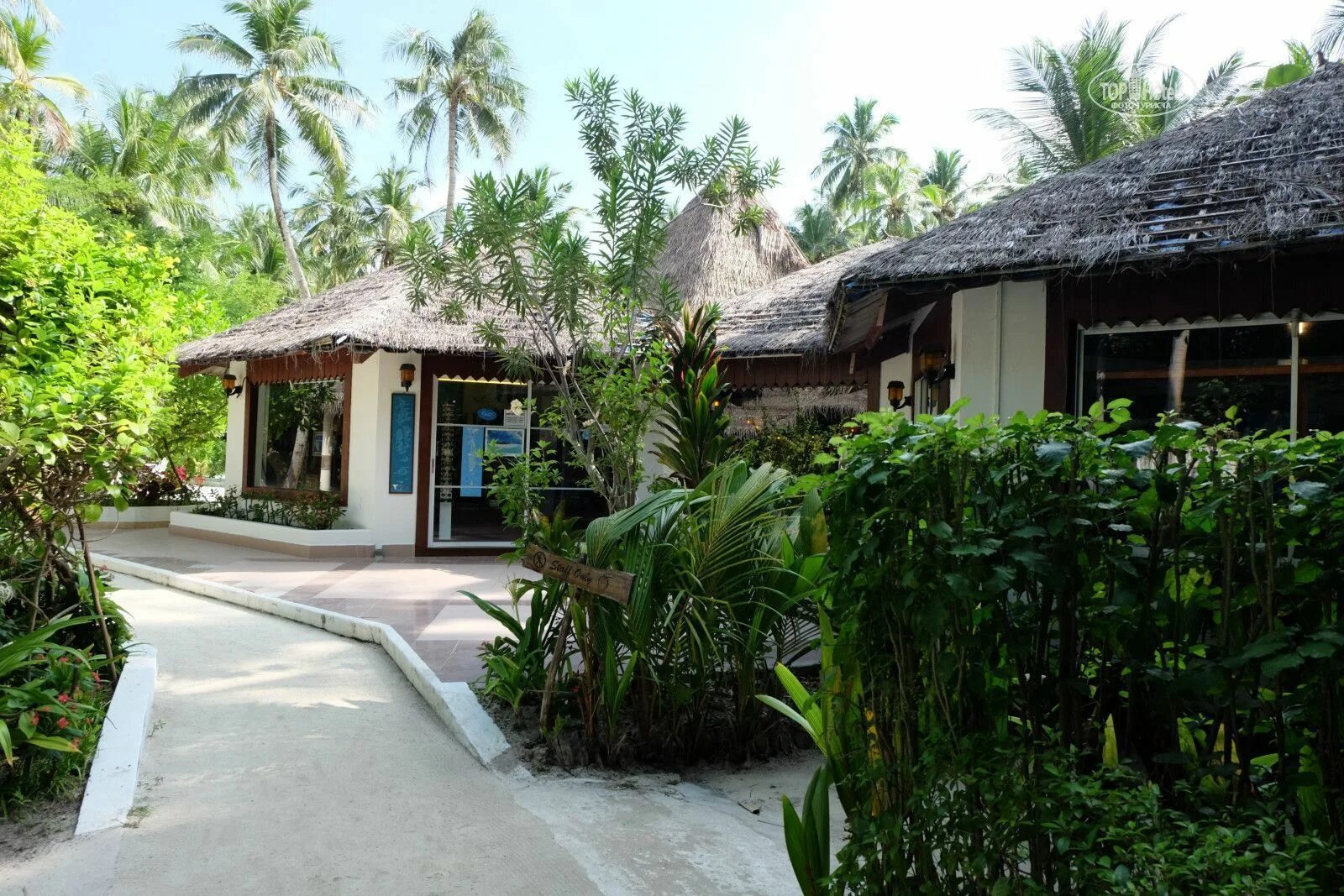 Biyadhoo Island Resort. Biyadhoo Island Resort Maldives 3. Biyadhoo Island 3*. Остров Бияду Мальдивы. Island resort 3