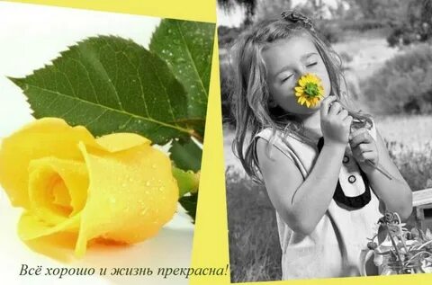 Ни красота