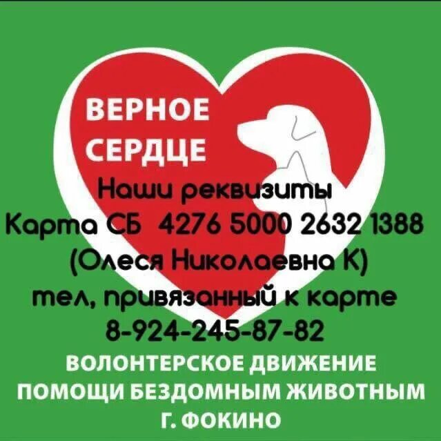 Движение верные. Доброе сердце г Фокино.