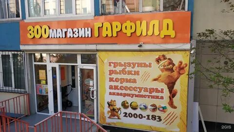 Гарфилд зоомагазин