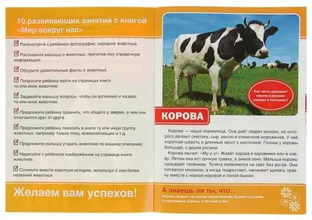 Задачи в мире животных