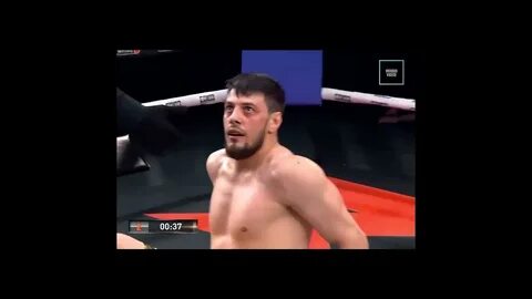Дацик вчерашний бой кто победил