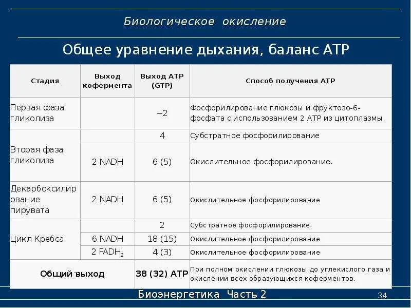 Процесс биологического окисления. Этапы биологического окисления таблица. Стадии биологического окисления. Стадии (фазы) биологического окисления.. 1 Стадия биологического окисления.