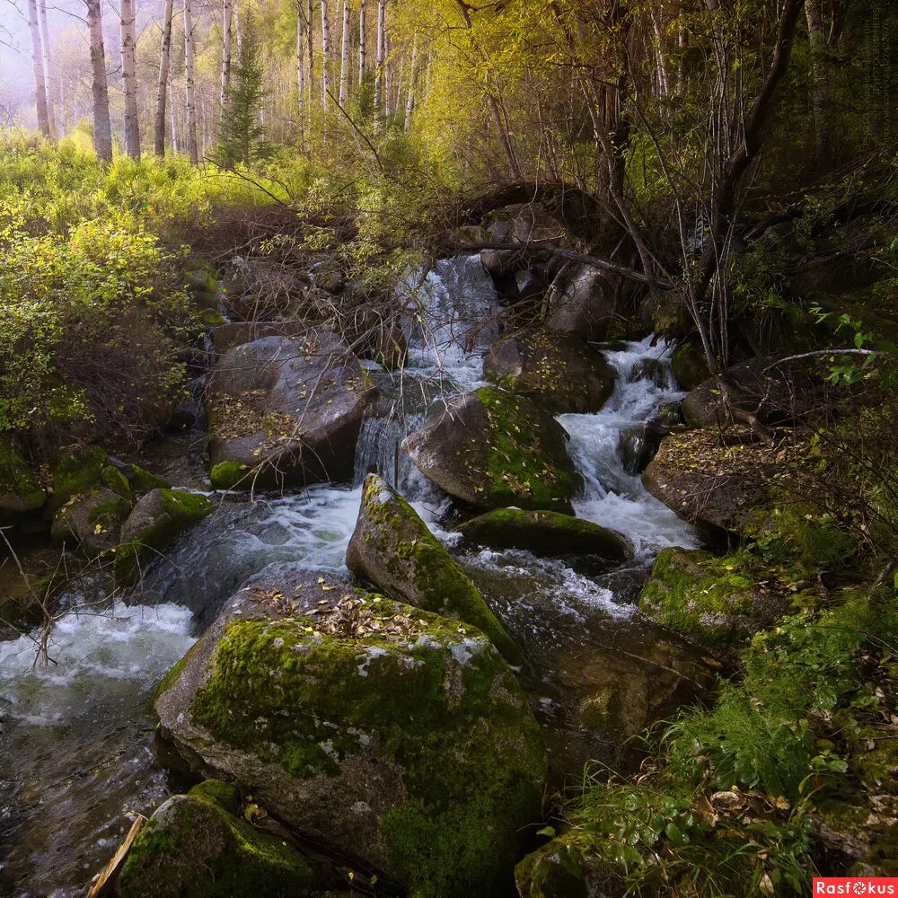 Вода холодный ключ. Ключ, ручей, Красноярск. Родник горный ключ. Студеный ручей. Ключ реки.