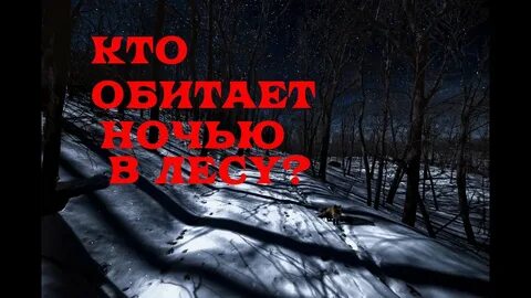 Зловещий снег