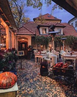 Ресторан праги фото