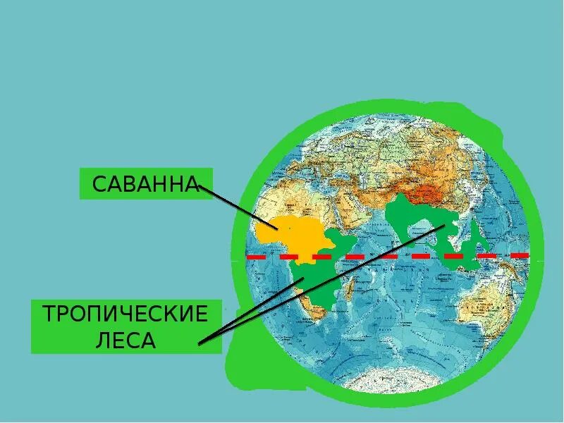 Экватор на карте. Экватор и жаркие районы земли. Саванна и тропическийлес на глобуче. Тропики на глобусе.