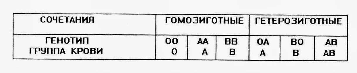 Гомозиготная вторая группа крови