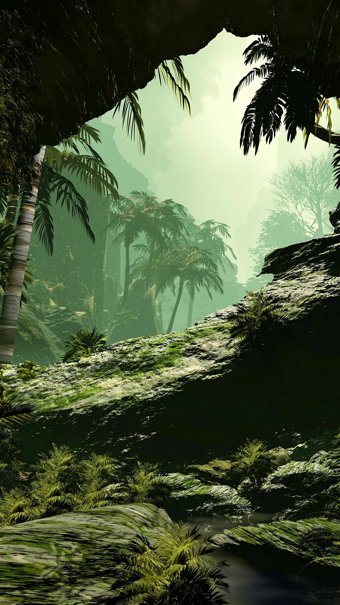 Jungle downloads