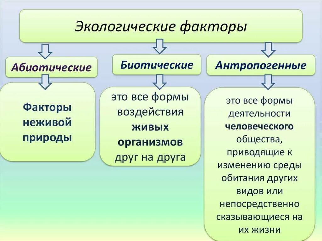 3 примера абиотических